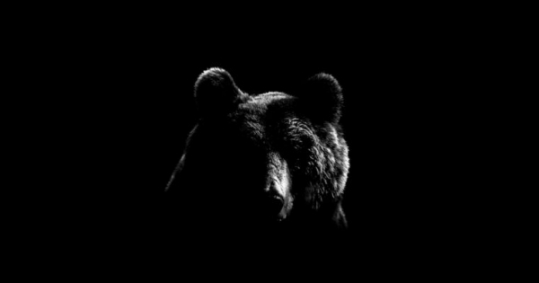Dow Jones Near Bear Market Territory, Why White House Failed to Ease Investors