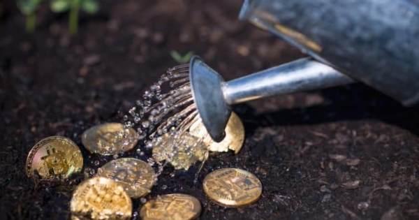 Bitcoin Space Growing on Almost All Metrics &mdash; Except Economics