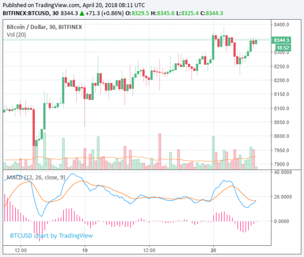 Cryptocurrency Market Surges to $365 Billion, Start of a Bull Rally?