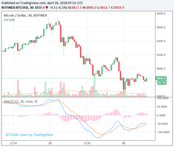 Kyber Network and OmiseGo Surge 70% With Bithumb Integration as Bitcoin Dips Below $9,000