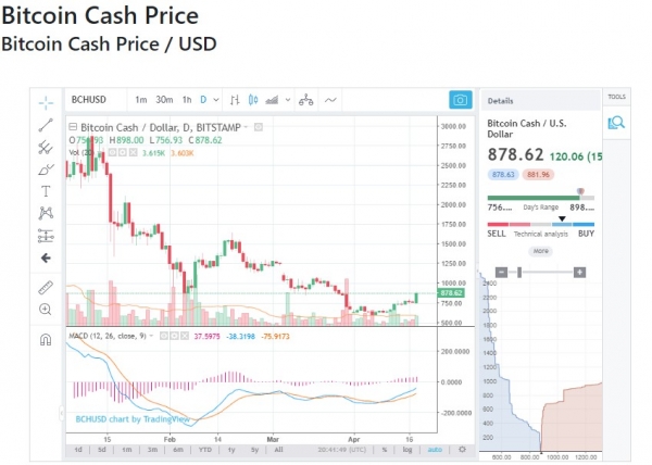 Crypto Investment Firm Founder Turns Bullish on Bitcoin Cash
