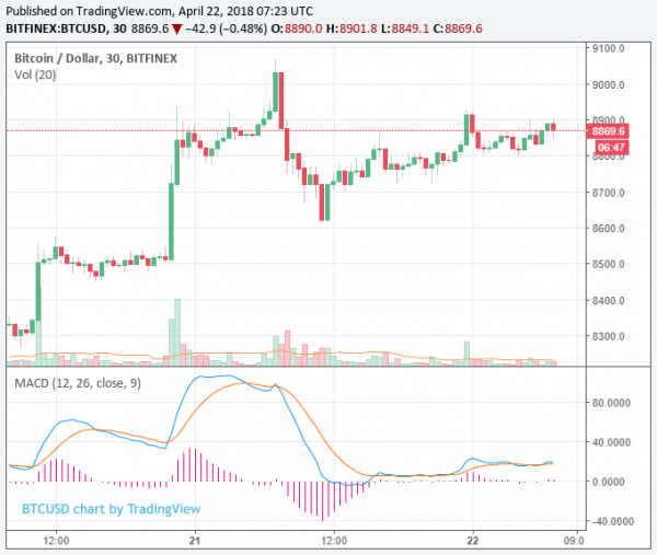 South Korea&rsquo;s Bitcoin Price Premium Returns as Crypto Market Climbs to $385 Billion