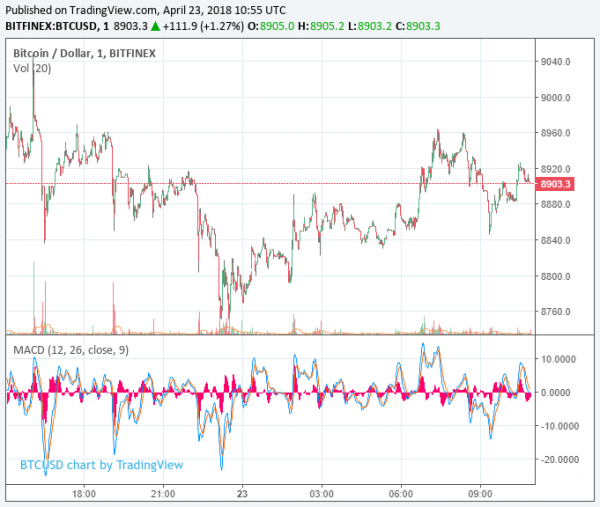 Bitcoin Cash Price Leaps 19% While Other Large-Cap Cryptos Flounder