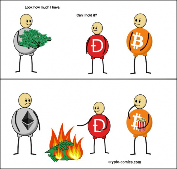 Beyond the Slump: What’s Next for Bitcoin? Regulation vs Education