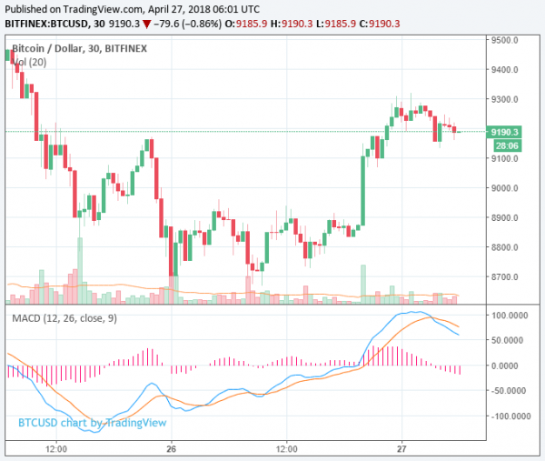 Bitcoin Price Rebounds to $9,200 After a 10% Decline, Market Begins to Rebound