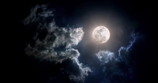 Launch Time? 82% of Institutional Crypto Investors Believe Bitcoin Price Has Bottomed