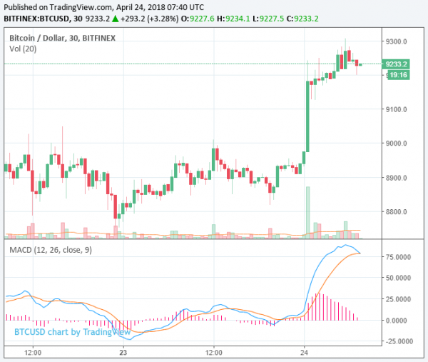 Bitcoin Price Rises to $9,200 as Cryptocurrency Market Reaches $417 Billion
