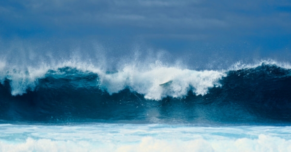 Ripple Price Rallies 20% to Headline Surging Cryptocurrency Markets