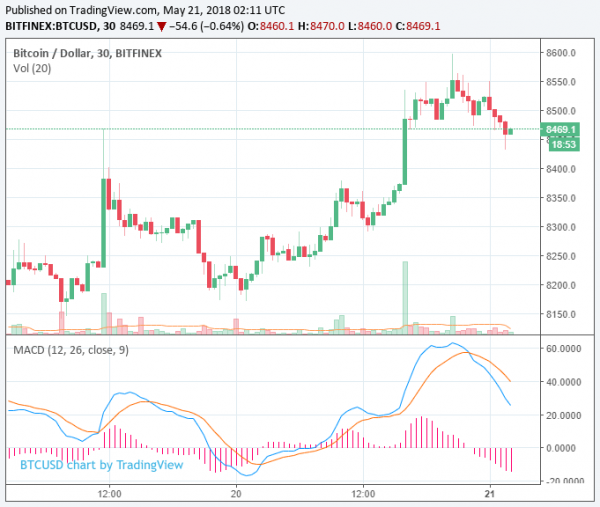 Bitcoin Price Back at $8,500: Cryptocurrency Market Rebounds After Poor Week