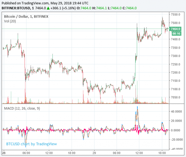 Italy’s Economic Pain Is the Bitcoin Price’s Gain