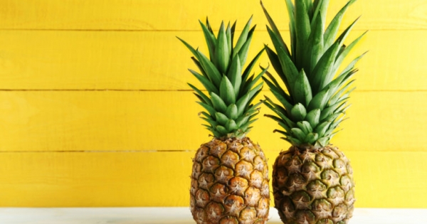 $55 Million: Pineapple Fund Bids Farewell after Making Final Anonymous Donation