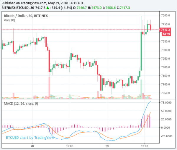 Bitcoin Price Rebounds From $7,040 to $7,450 but Bulls Yet to Turn Up