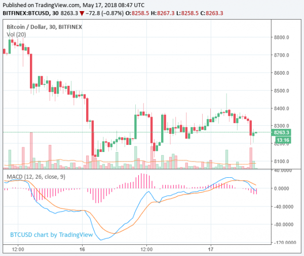 Cryptocurrency Market Regains $7 Billion as Augur and EOS Prices Jump