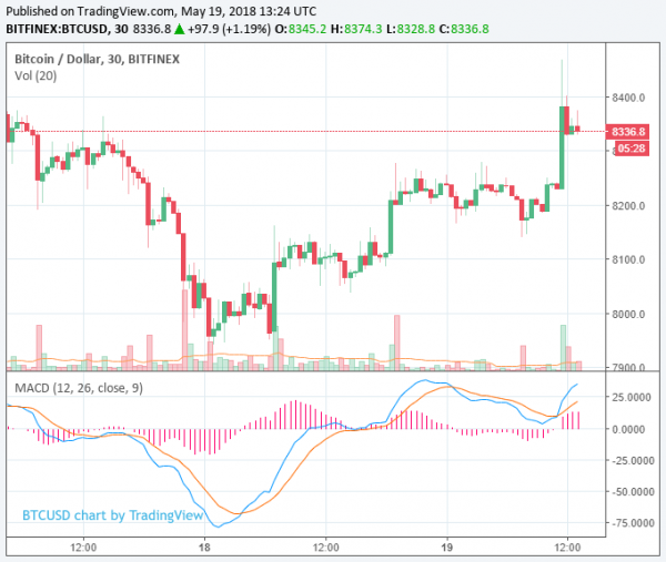 Cryptocurrency Market Rebounds After Poor Week, Ether Gains 5% and Aelf Rises 17%