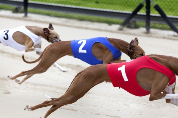 Coin Race: Top 10 Winners/Losers of May