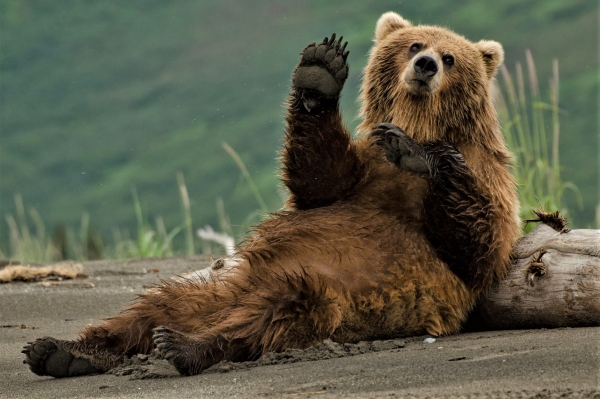 Bitcoin and Altcoins Signaling Bearish Continuation