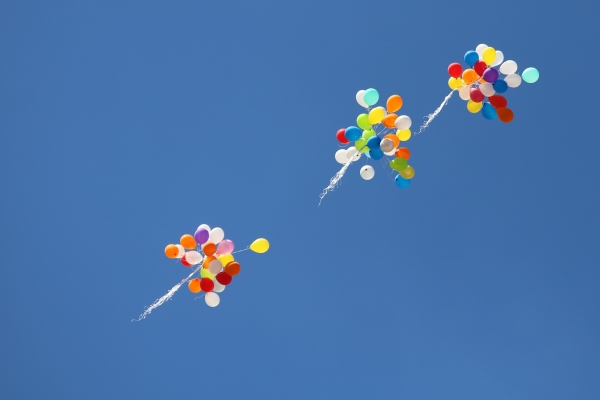 Bitcoin and Altcoins Defies Gravity, More Gains Possible