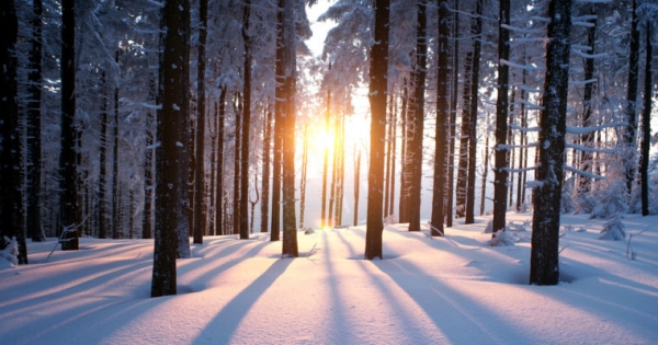 ‘Overwinter’ Upgrade Looms as Zcash Prepares for Its First Hard Fork