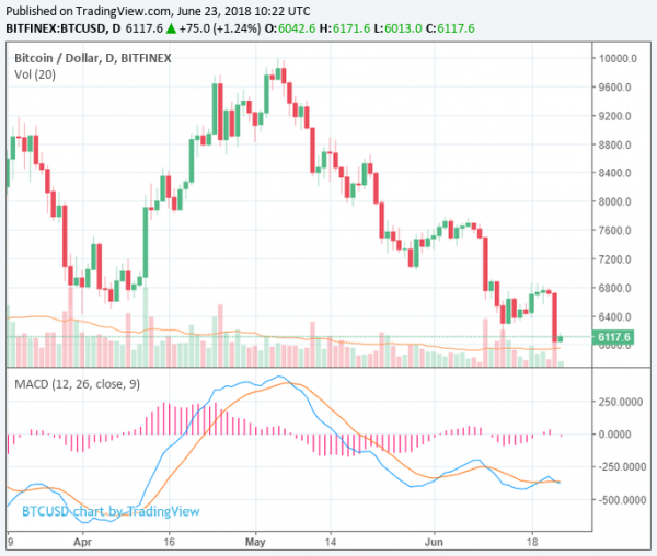 $13 Billion Wiped Out as Cryptocurrency Market Takes Another Beating
