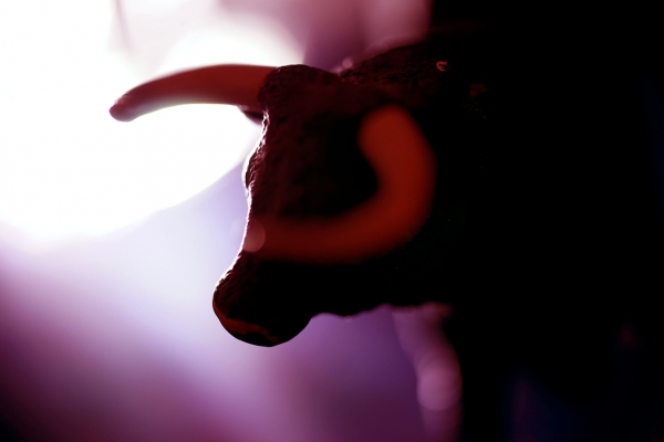 Bitcoin and Altcoins Gaining Bullish Traction