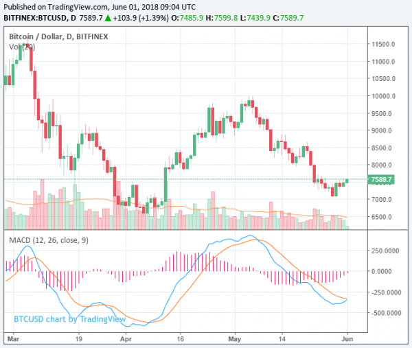 No Bull Run in Sight, Investors Target Long-Term Bitcoin Price Rally