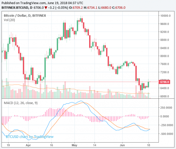 Investors Turn Bullish as Cryptocurrency Market adds $12 Billion 24 Hours
