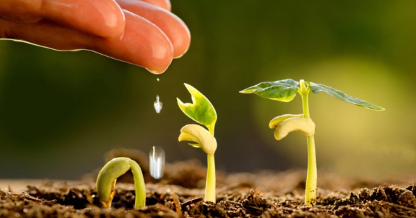 Crypto Exchange Binance Launching $1 Billion Venture Capital Fund: Local Reports