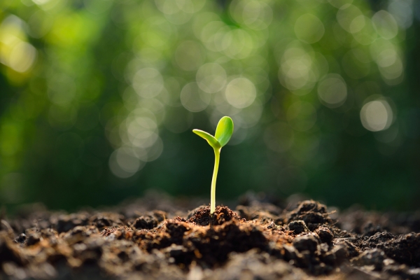 ‘Overwinter’ Upgrade Looms as Zcash Prepares for Its First Hard Fork