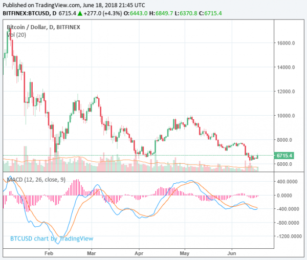 Bitcoin Price Will Hit $60,000 This Year: Fund Manager