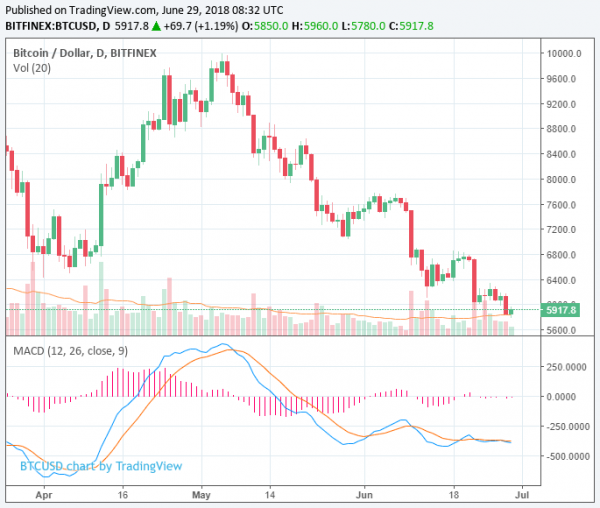 Bitcoin, Ethereum, Ripple, and Major Coins Drop 5%; Crypto Market Loses $9 Billion