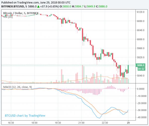 Newsflash: Bitcoin Price Careens Below $6,000 as Downturn Worsens