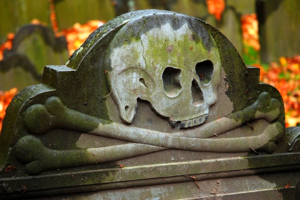 Crypto Graveyard May Not Have Much Space Left