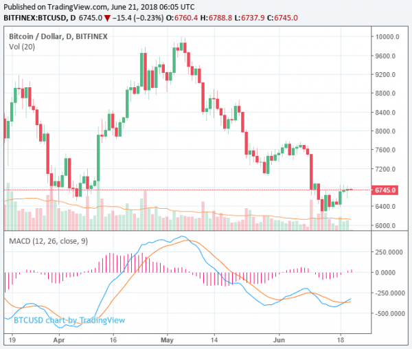 Bitcoin Price Rebounds to $6,700, Market Adds $8 Billion in Recovery Bithumb Hack