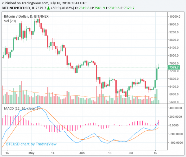 Bitcoin Volume at $6.4 Billion, Up 2x Since Last Week as Crypto Market Surges