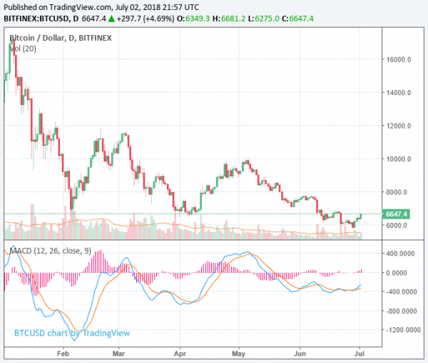 Octagon Strategy Remains Bullish on Bitcoin Despite Price Decline