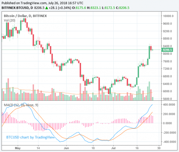 Crypto Markets Surpasses $300 Billion; Did ETF Cause Bitcoin to Rally?