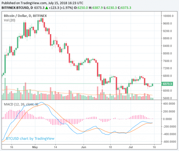 Ether and Bitcoin Cash Rise 3% as Market Adds $8 Billion, Can Momentum be Sustained?