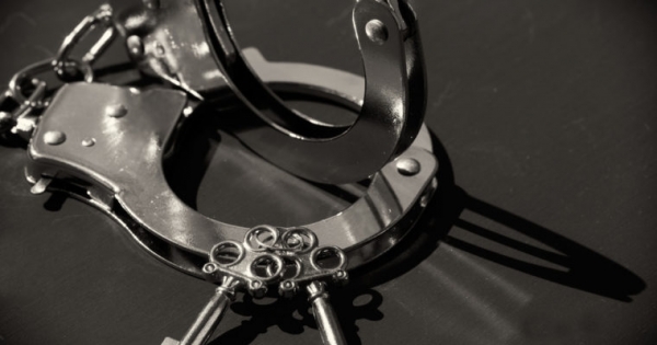 Fifty Shades of Blockchain: Meet Dogecoin Creator&rsquo;s Erotic, ICO-Crazed Twitter Bot
