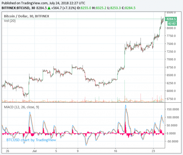 Why Bitcoin&rsquo;s Summer Rally Is Here to Stay: Brian Kelly