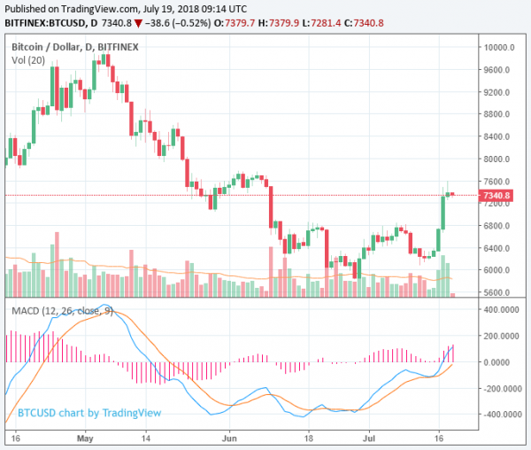 Crypto Market Makes Minor Retreat Post-Rally, Ether and Bitcoin Cash Down 5%