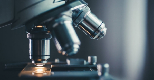 Opinion: Science&rsquo;s Acute Replicability Issue and the Crypto Antidote