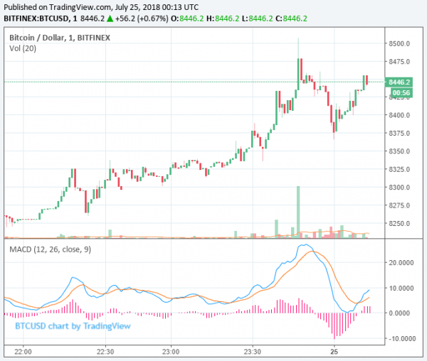 Newsflash: Bitcoin Price Pierces $8,500, Extending Bull Run Further