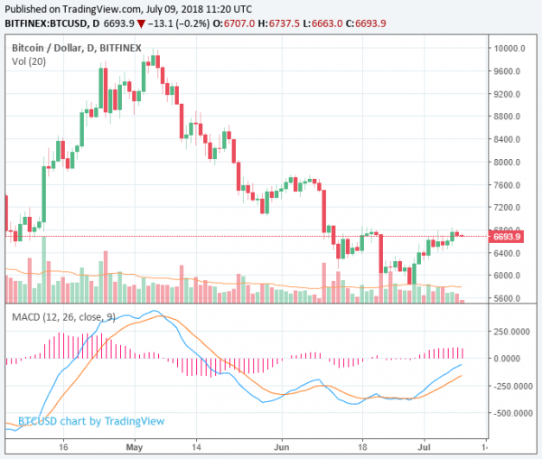 Bitcoin Price Remains Above $6,700 as Crypto Market Stabilizes; Another Fall Inevitable?