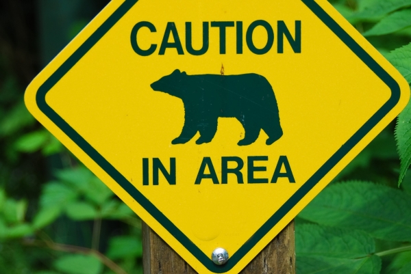 Bitcoin and Altcoins Move Into Bearish Zone