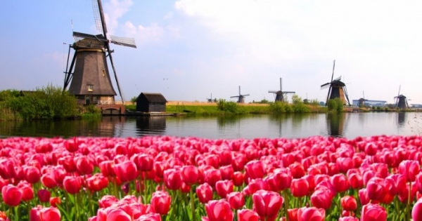 Dutch ETF Giant Makes Crypto Play Despite Regulator&rsquo;s Disapproval