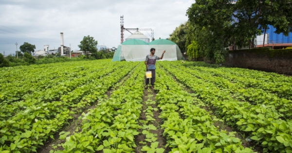 Indian Govt. Think Tank to Trial Blockchain for Fertilizer Subsidy Payments