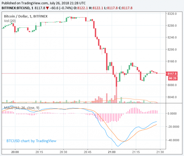 Newsflash: Bitcoin Price Slides After SEC Rejects Winklevoss ETF