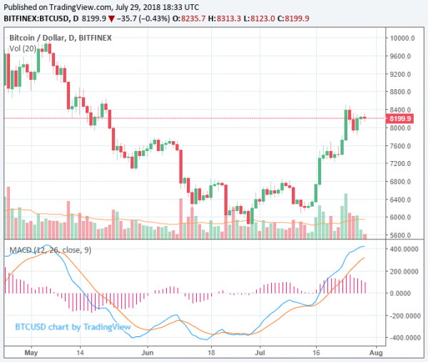 Bitcoin Price Headed to New Highs: Crypto Hedge Fund Manager Spencer Bogart