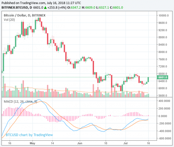 Bitcoin Price Spikes to $6,600 as Crypto Market Finds Momentum