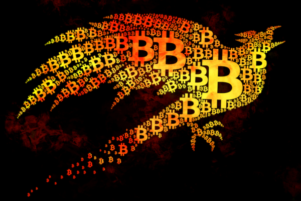 This Shop Claims Its Sales Boomed by 427% Due To Crypto Payments